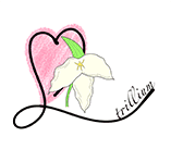 癒しと脱毛サロン trillium